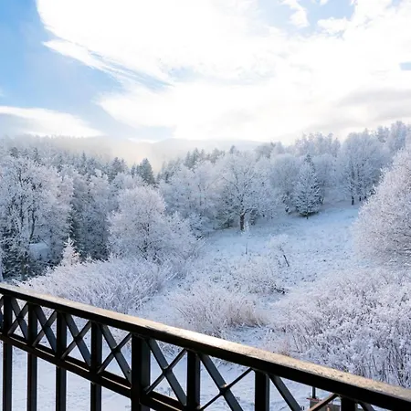 Wonder - Karkonosz Blisko Wyciagow Narciarskich, Szlakow I Restauracji Apartment